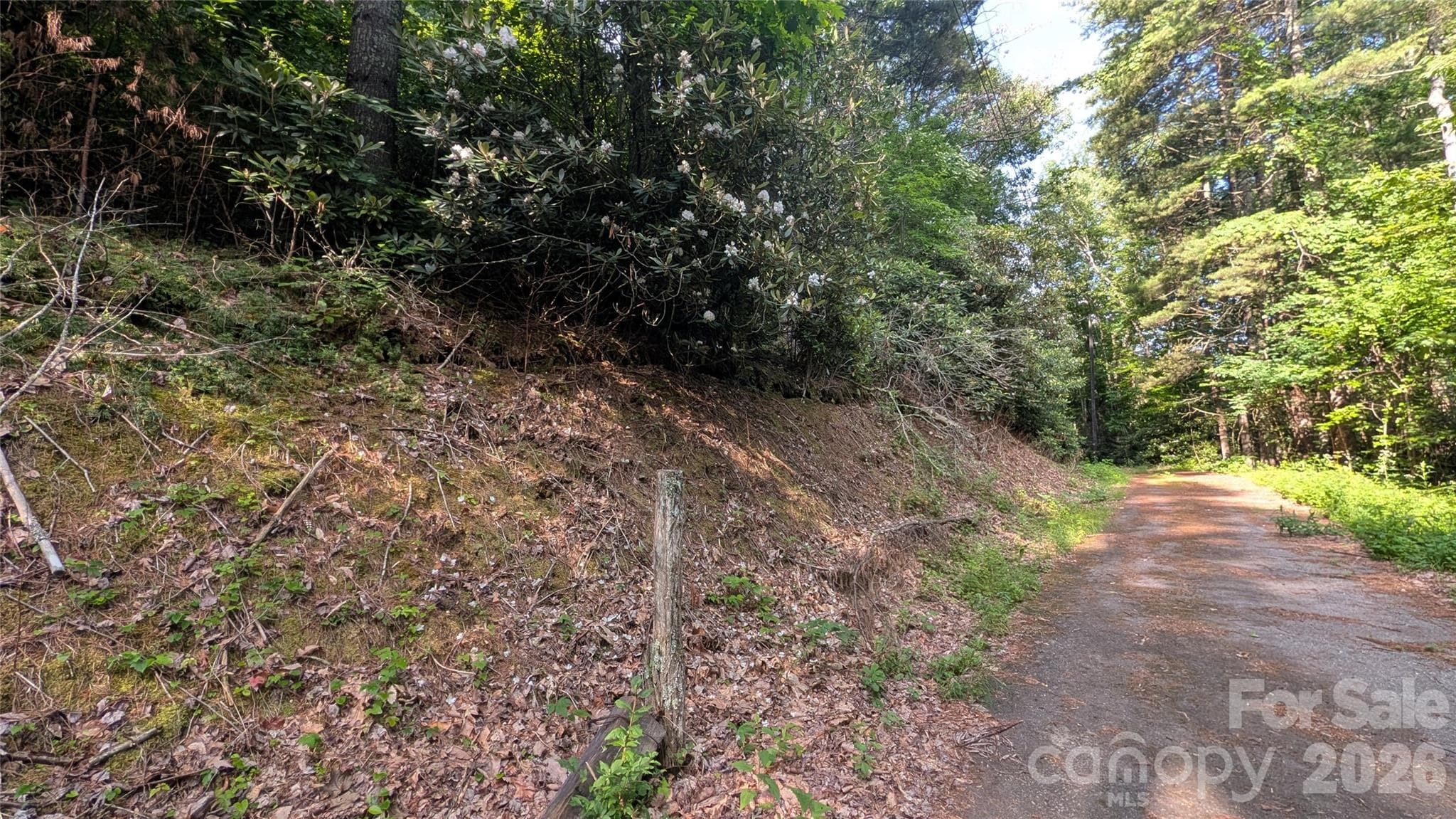 Lot at 00 Chestnut Walk, Waynesville, photo 13 of 20