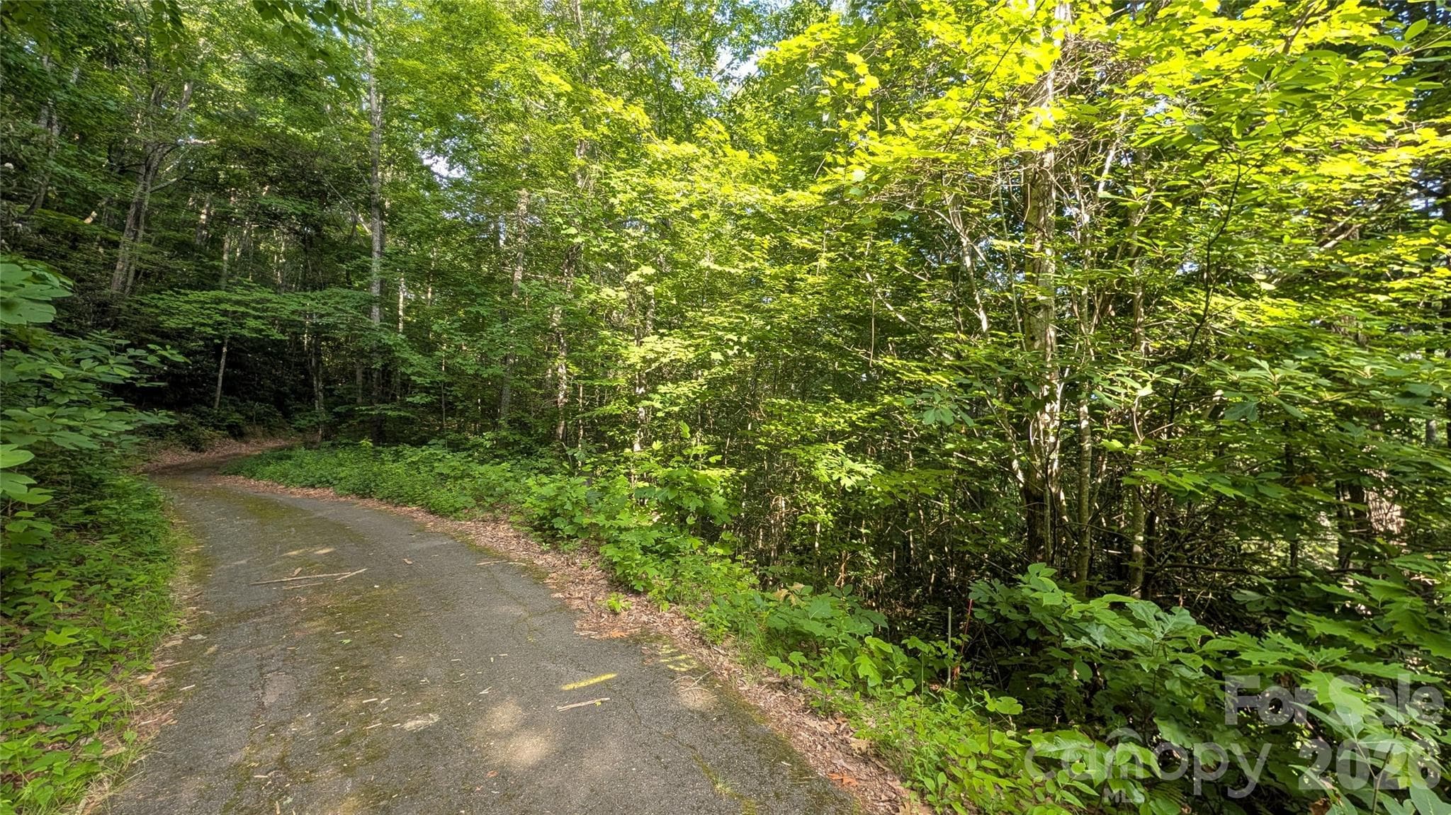 Lot at 00 Chestnut Walk, Waynesville, photo 16 of 20