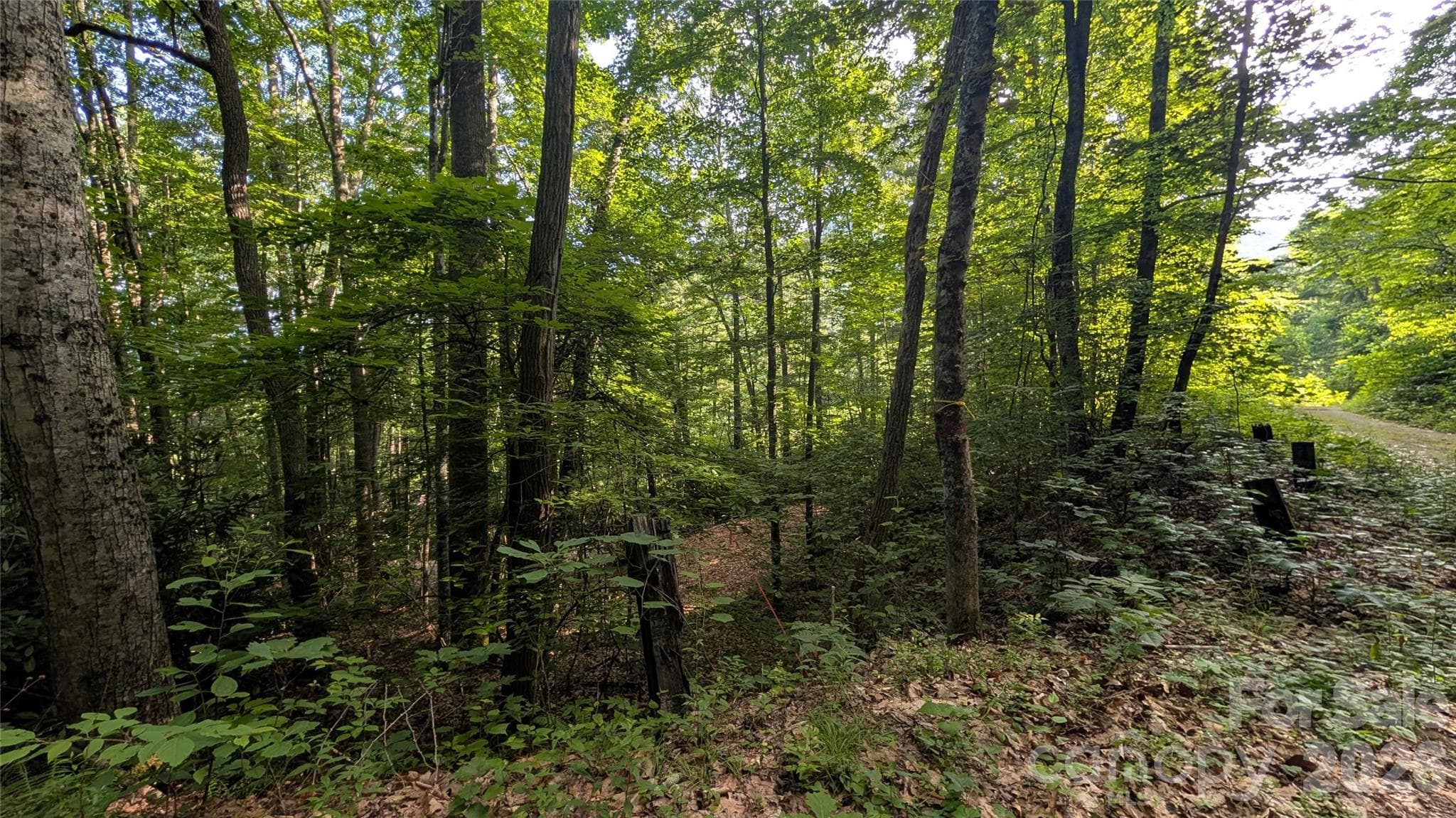 Lot at 00 Chestnut Walk, Waynesville, photo 18 of 20