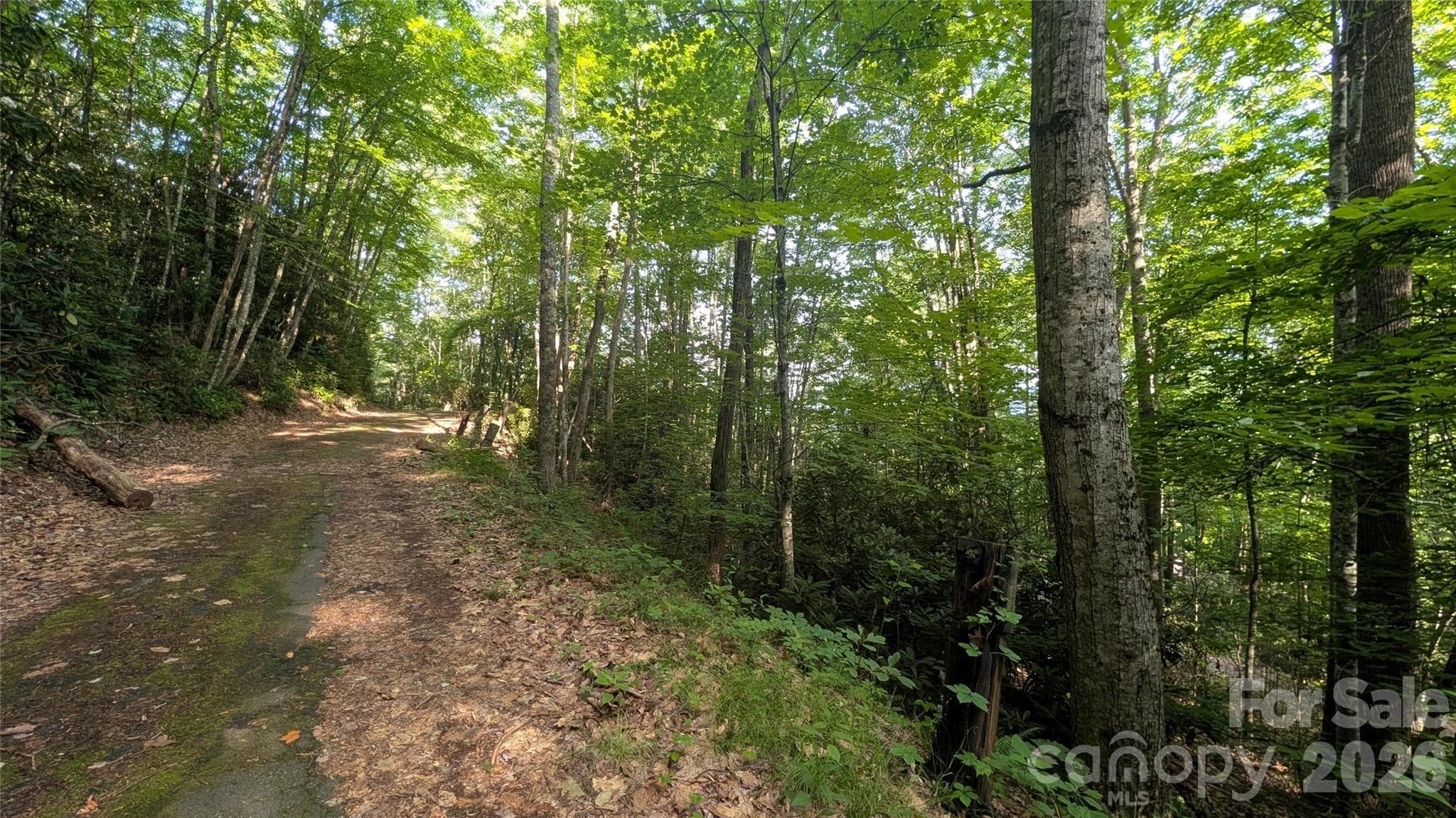 Lot at 00 Chestnut Walk, Waynesville, photo 19 of 20