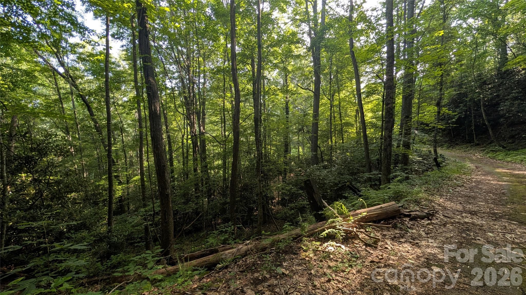 Lot at 00 Chestnut Walk, Waynesville, photo 20 of 20