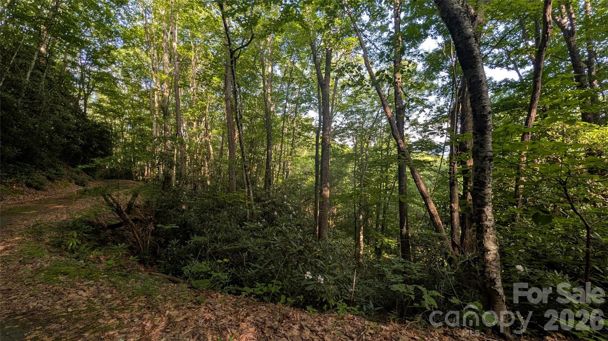 Lot at 00 Chestnut Walk, Waynesville, photo 4 of 26