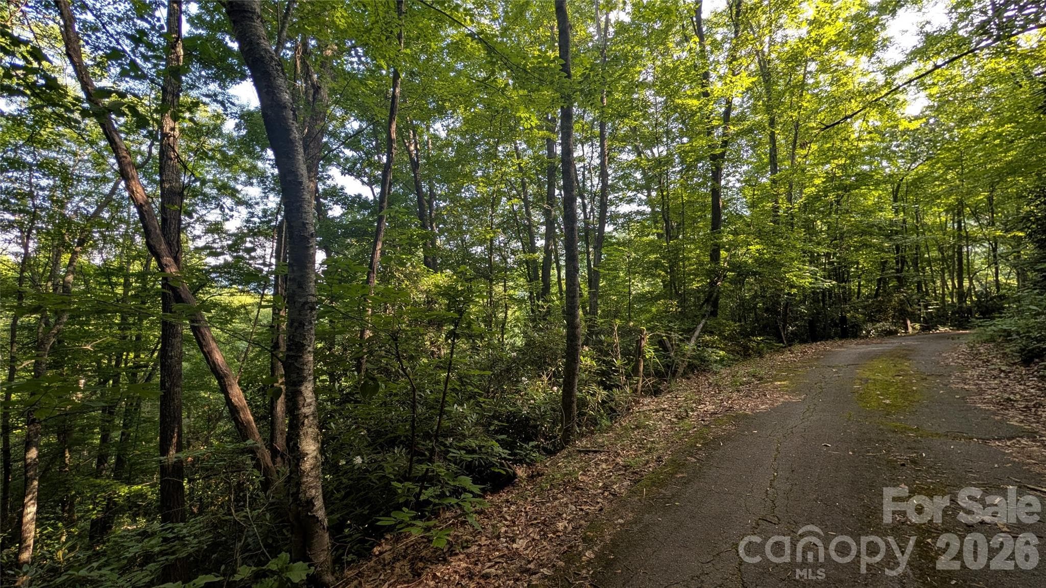 Lot at 00 Chestnut Walk, Waynesville, photo 7 of 26