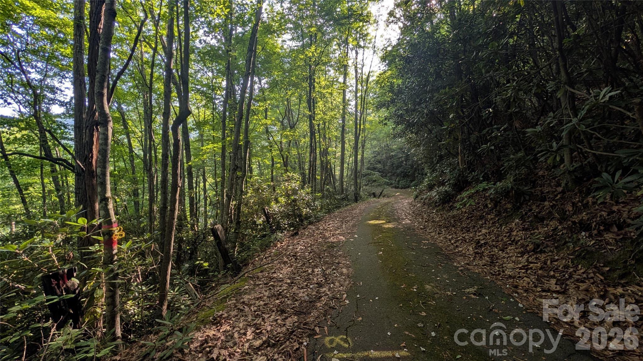 Lot at 00 Chestnut Walk, Waynesville, photo 9 of 26