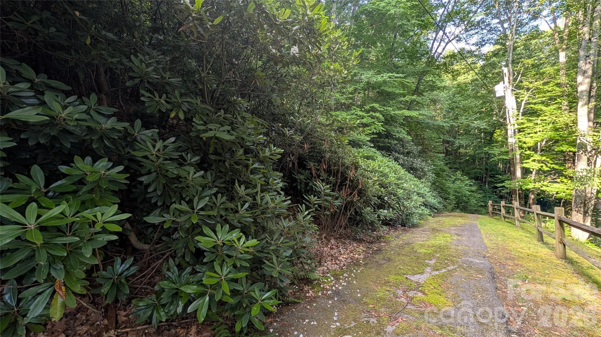 Lot at 00 Chestnut Walk, Waynesville, photo 12 of 26