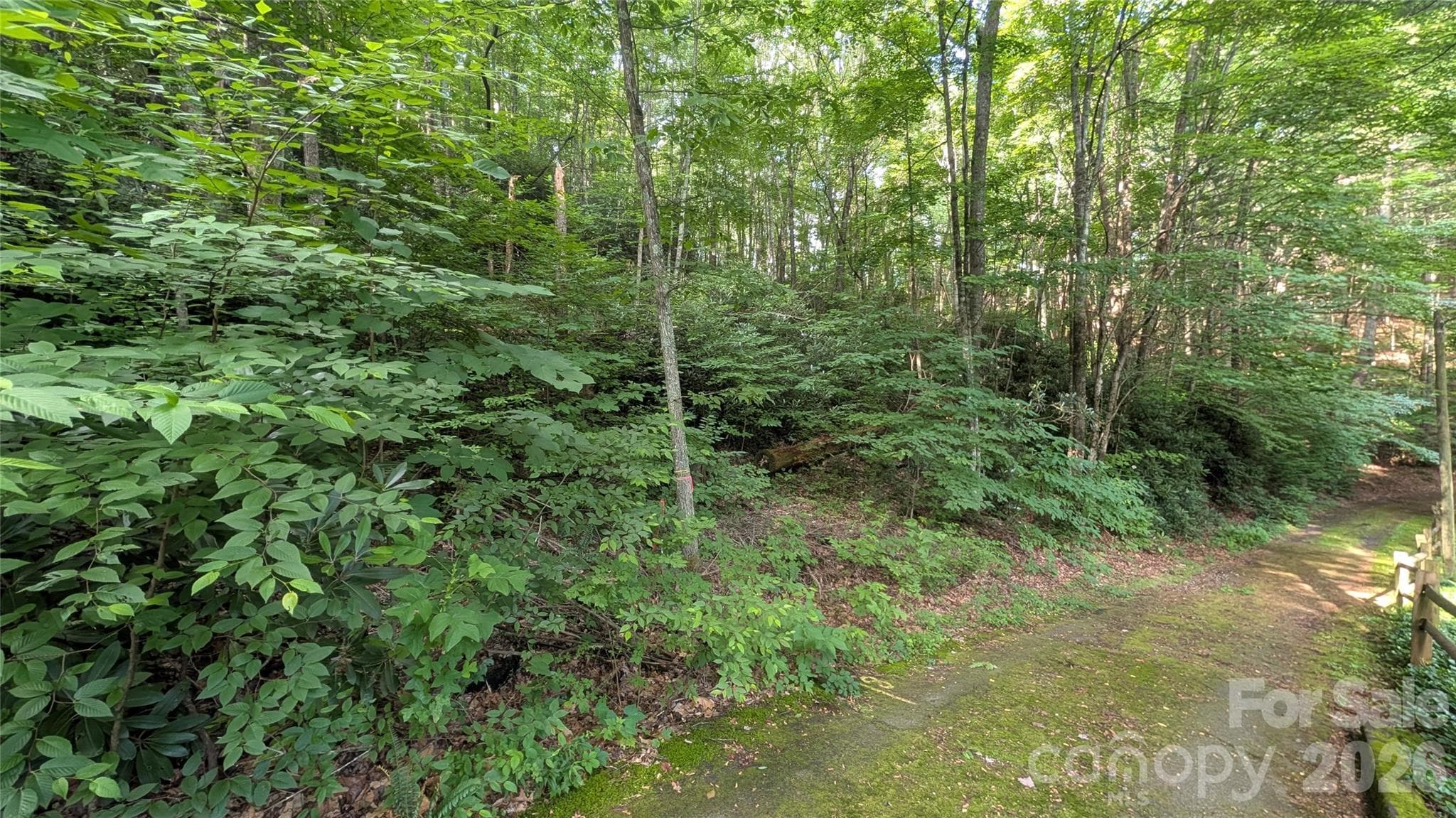 Lot at 00 Chestnut Walk, Waynesville, photo 13 of 26