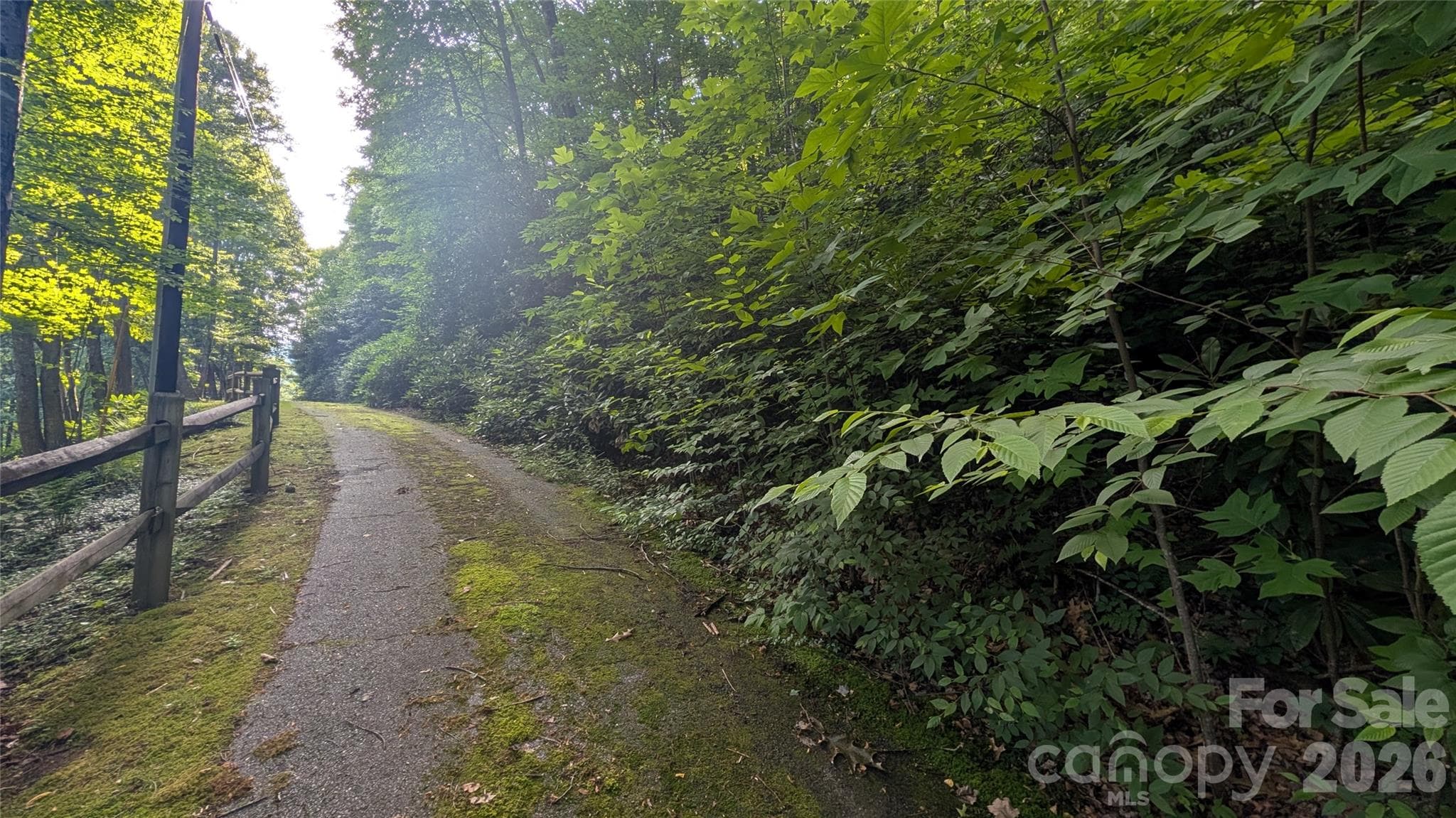 Lot at 00 Chestnut Walk, Waynesville, photo 14 of 26