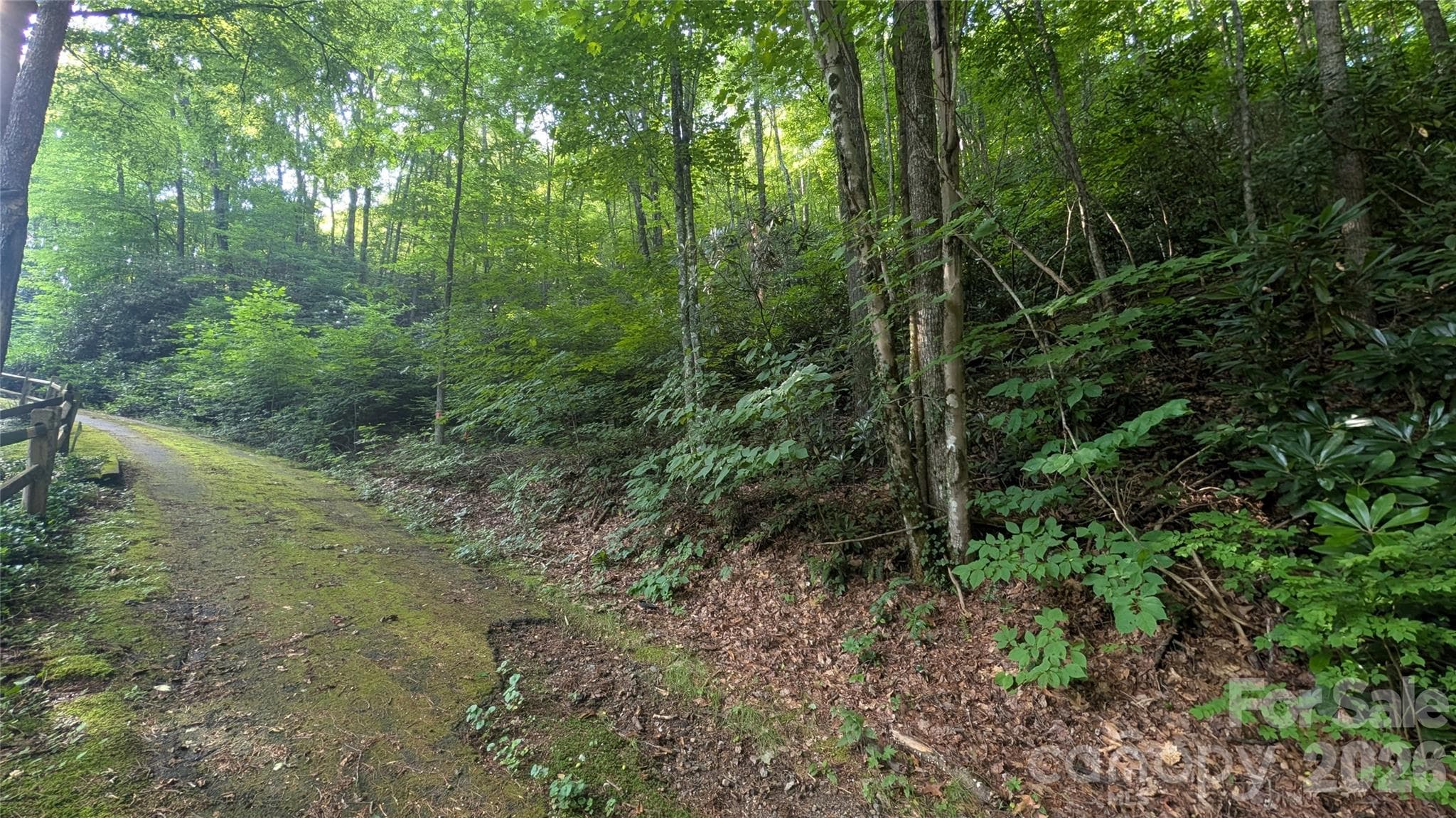 Lot at 00 Chestnut Walk, Waynesville, photo 15 of 26