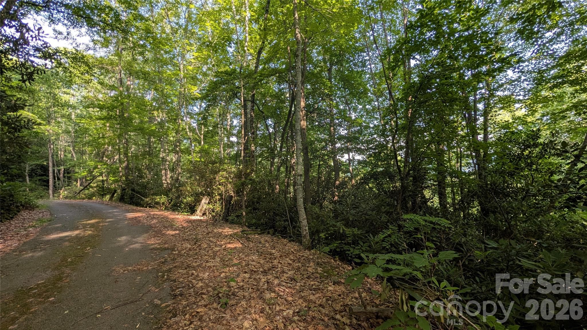Lot at 00 Chestnut Walk, Waynesville, photo 18 of 26