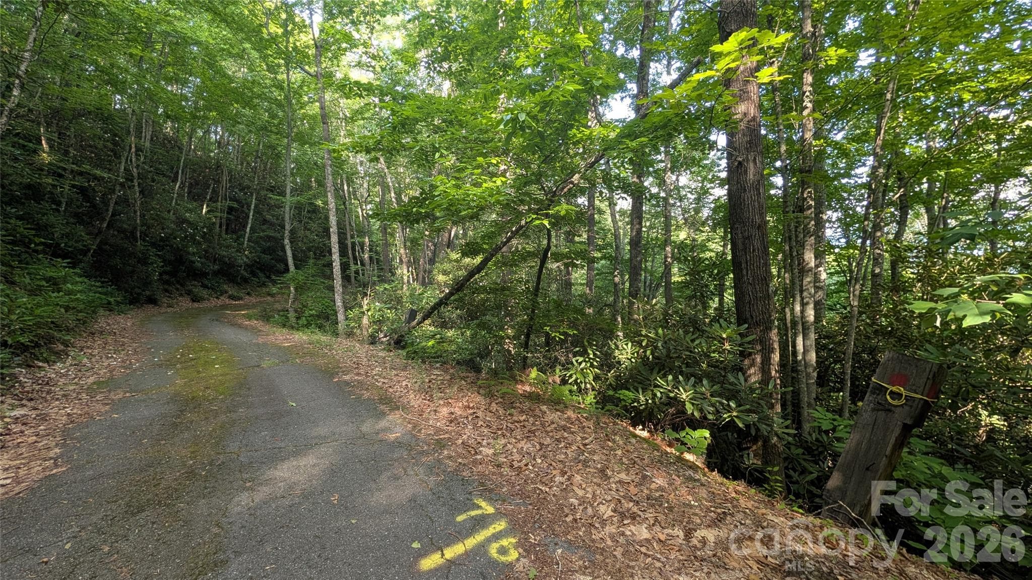 Lot at 00 Chestnut Walk, Waynesville, photo 20 of 26