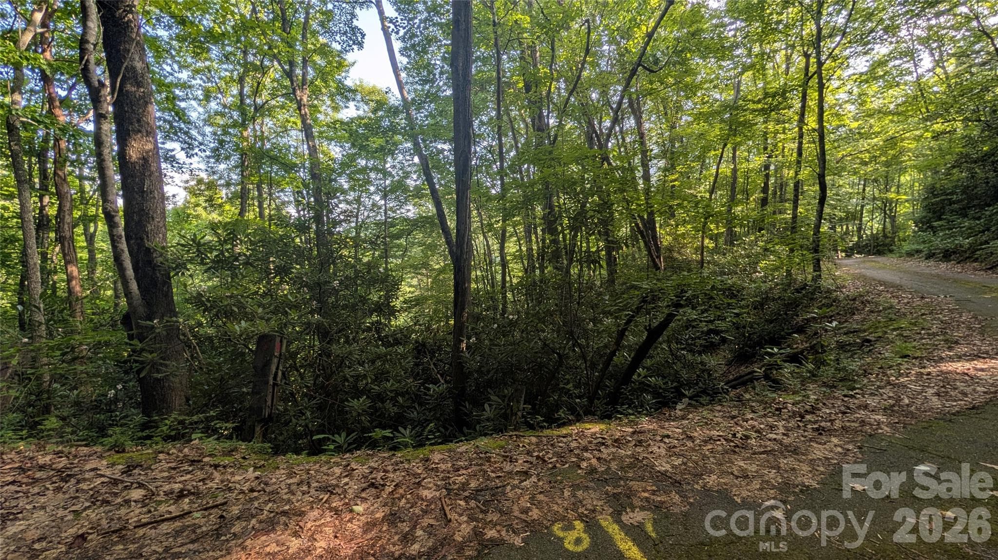 Lot at 00 Chestnut Walk, Waynesville, photo 21 of 26