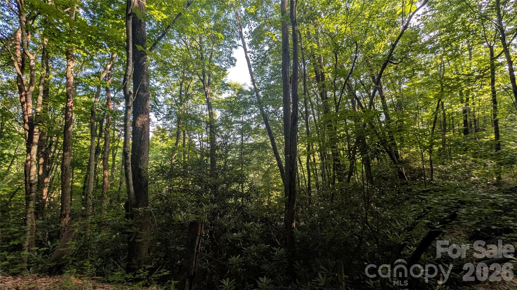 Lot at 00 Chestnut Walk, Waynesville, photo 22 of 26