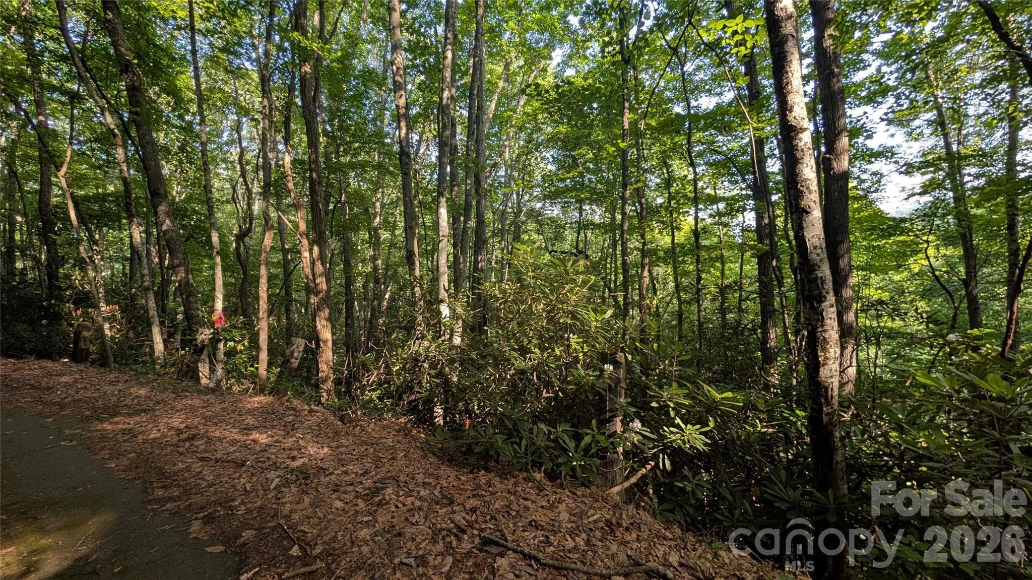 Lot at 00 Chestnut Walk, Waynesville, photo 24 of 26
