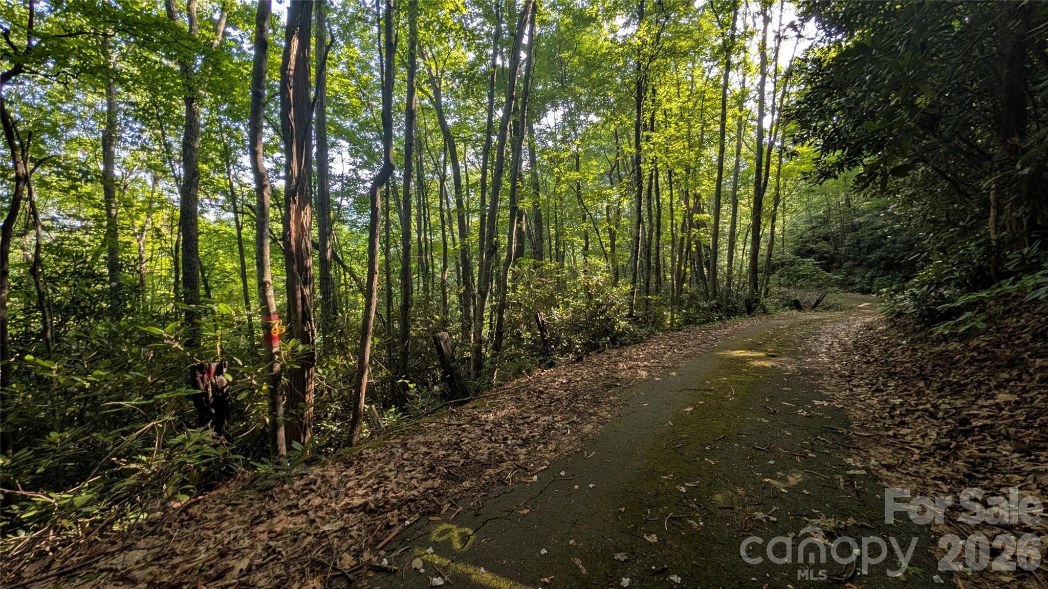 Lot at 00 Chestnut Walk, Waynesville, photo 26 of 26