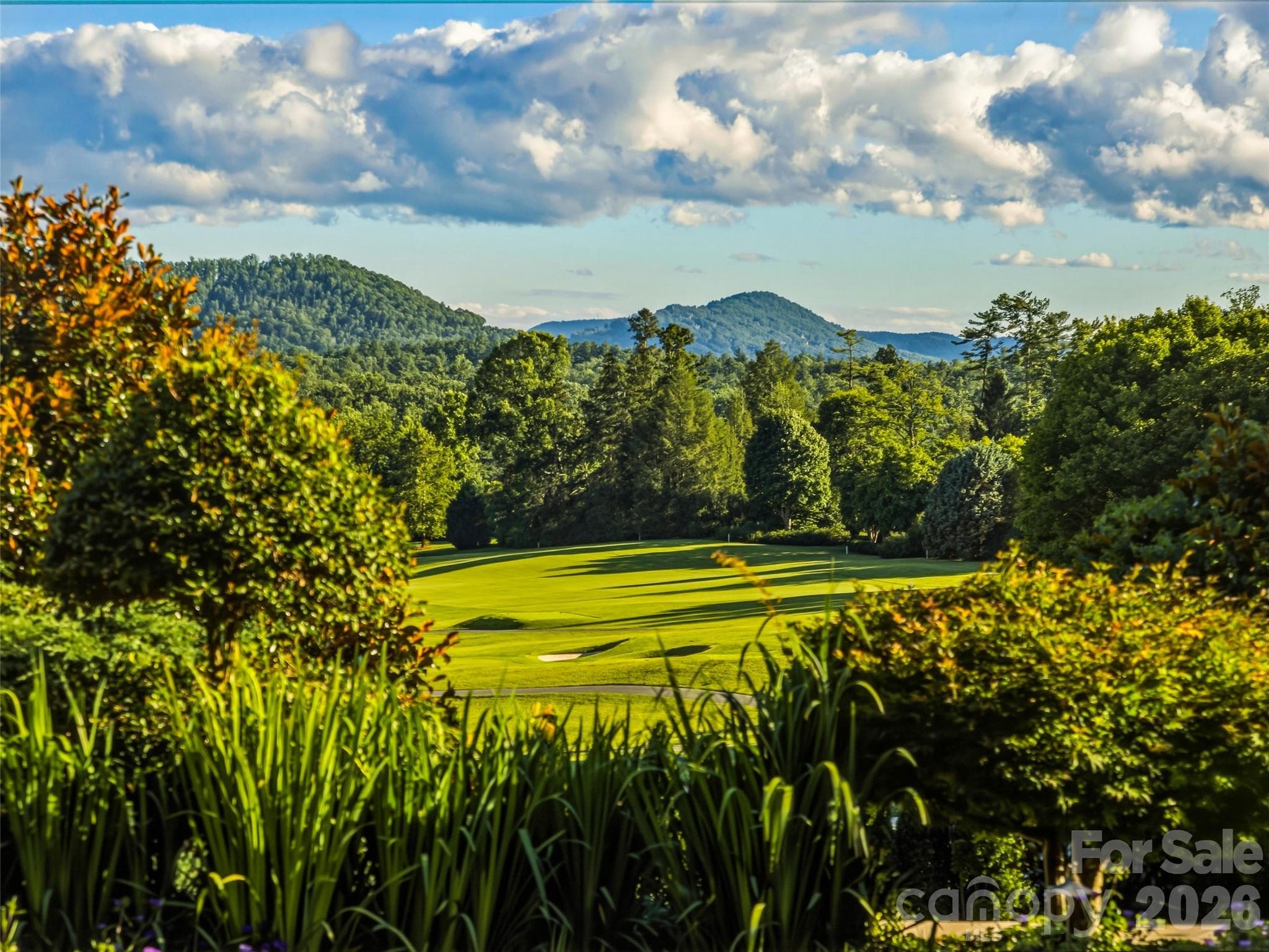Single Family Residence at Biltmore Forest, photo 18 of 48