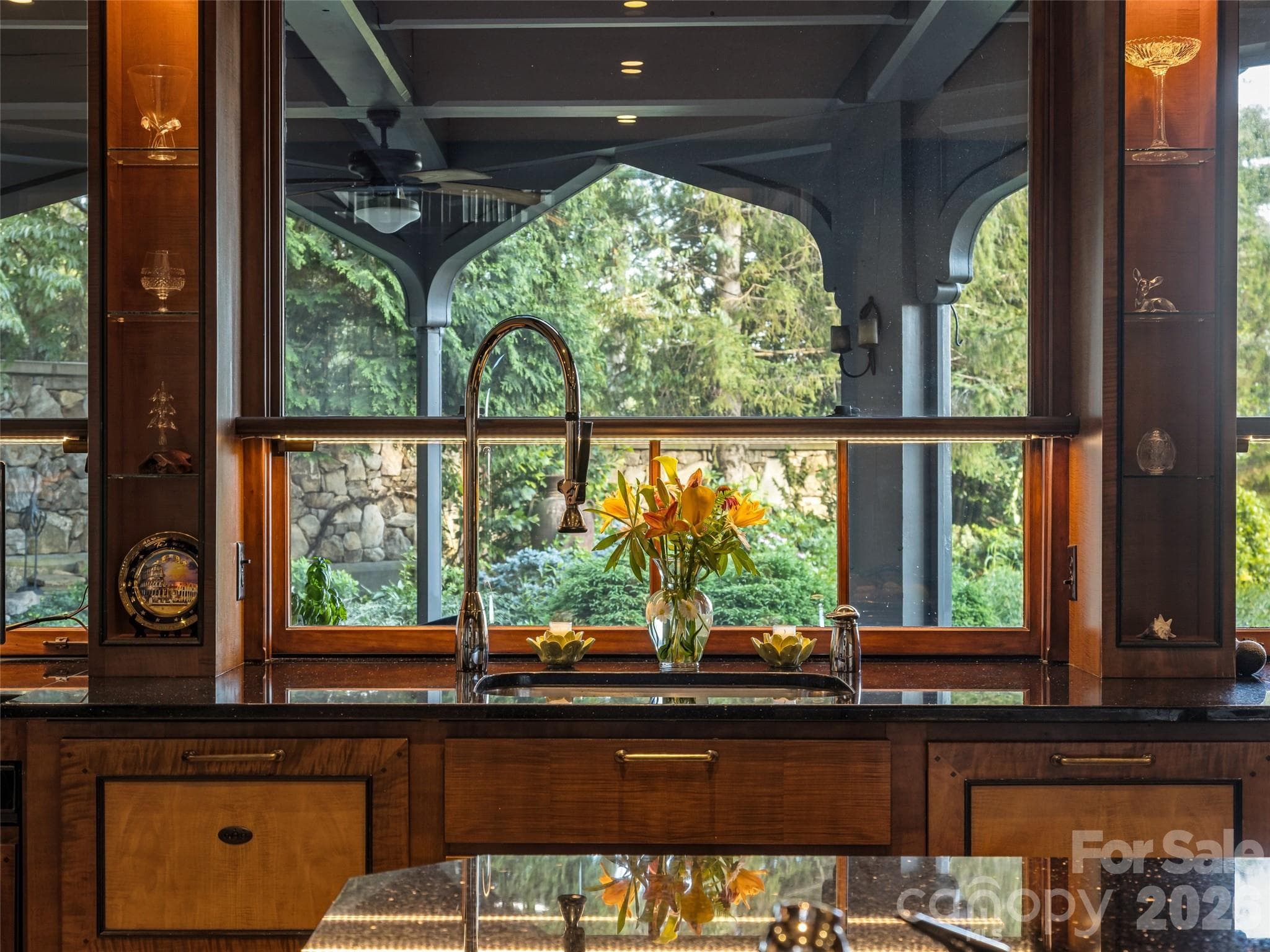 View form the kitchen sink - Biltmore Forest