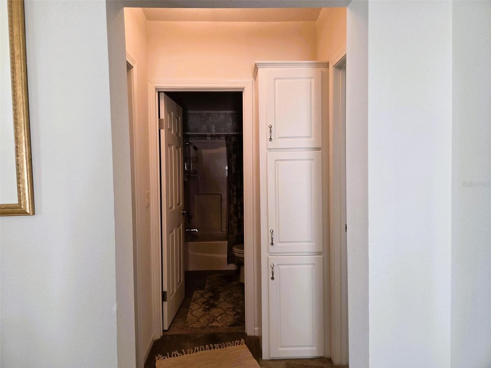 Hall inot secondary bedrooms - 3324 OVERCUP OAK TER, SARASOTA