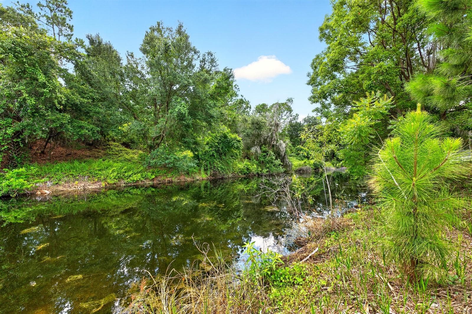 Canal front with access to Harris Chain of Lakes. - 27324 GRAND OAK LN, TAVARES
