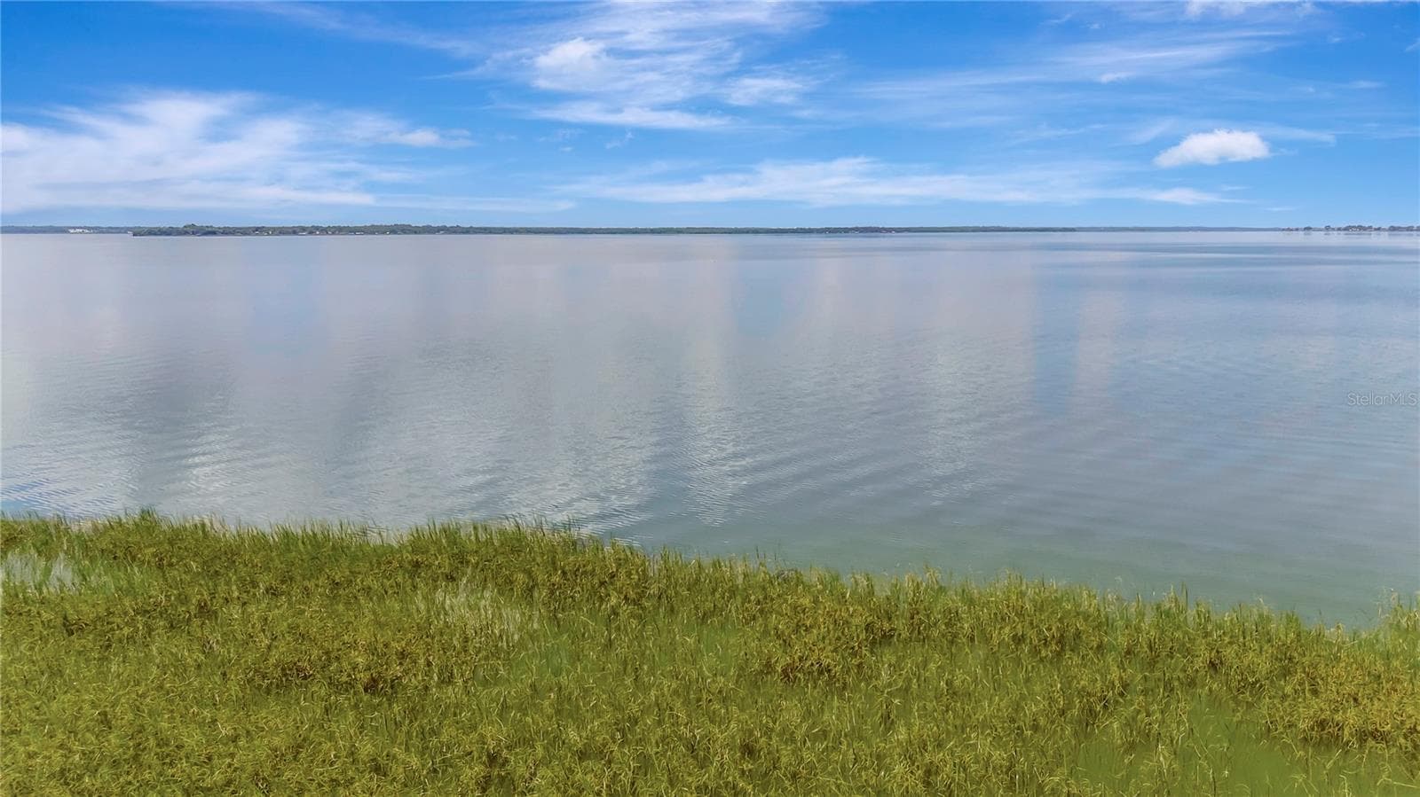 PRIVATE ACCESS TO LAKE GRIFFIN - 319 WATER SHORE DR, LEESBURG