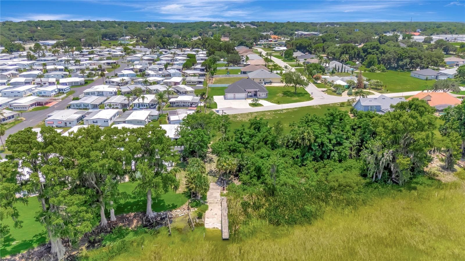 AERIAL FROM LAKE - 319 WATER SHORE DR, LEESBURG