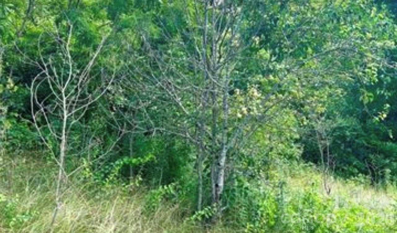 Lot at Clyde, photo 3 of 6
