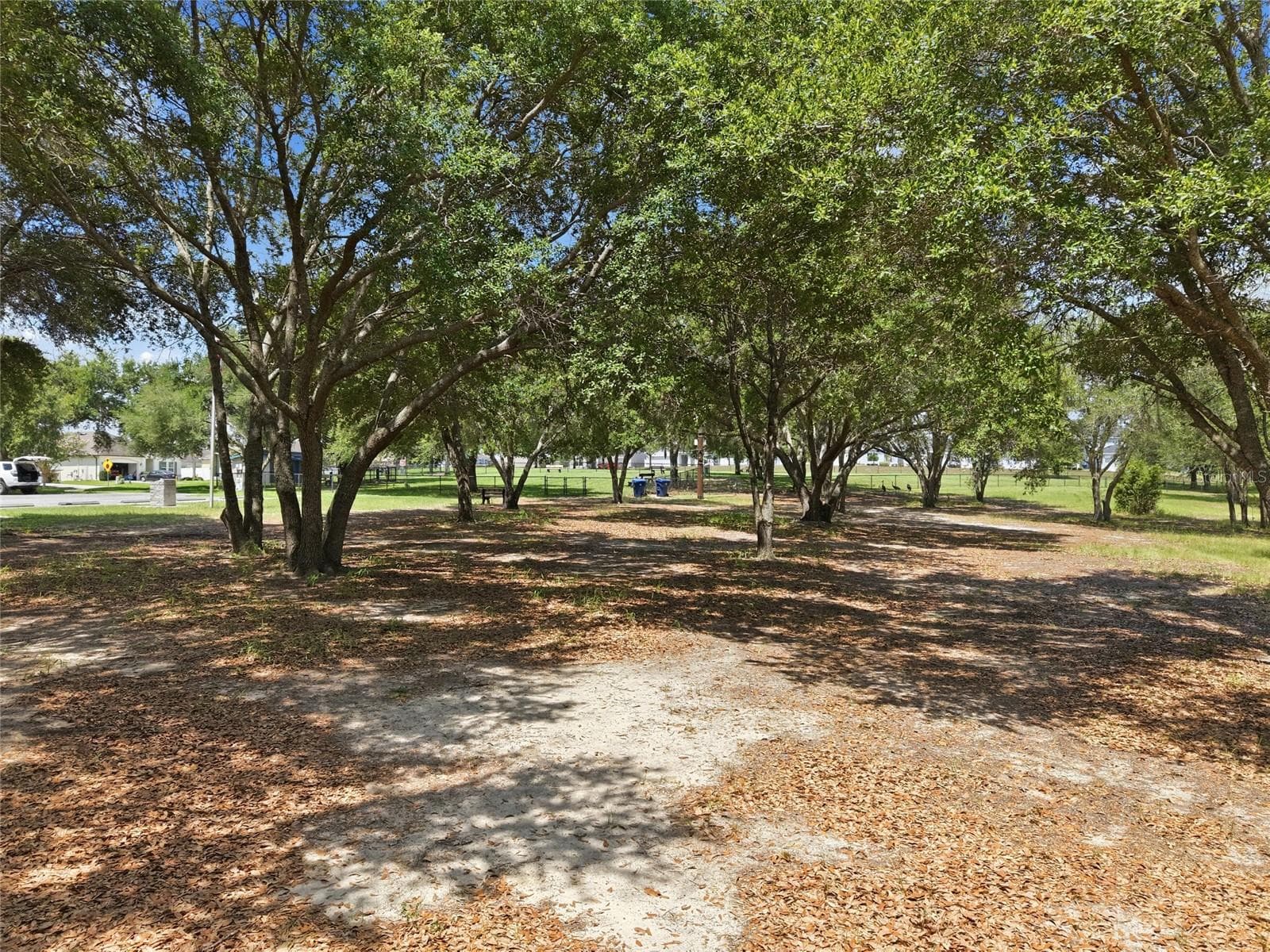 Community park - 516 CADIZ DR, GROVELAND