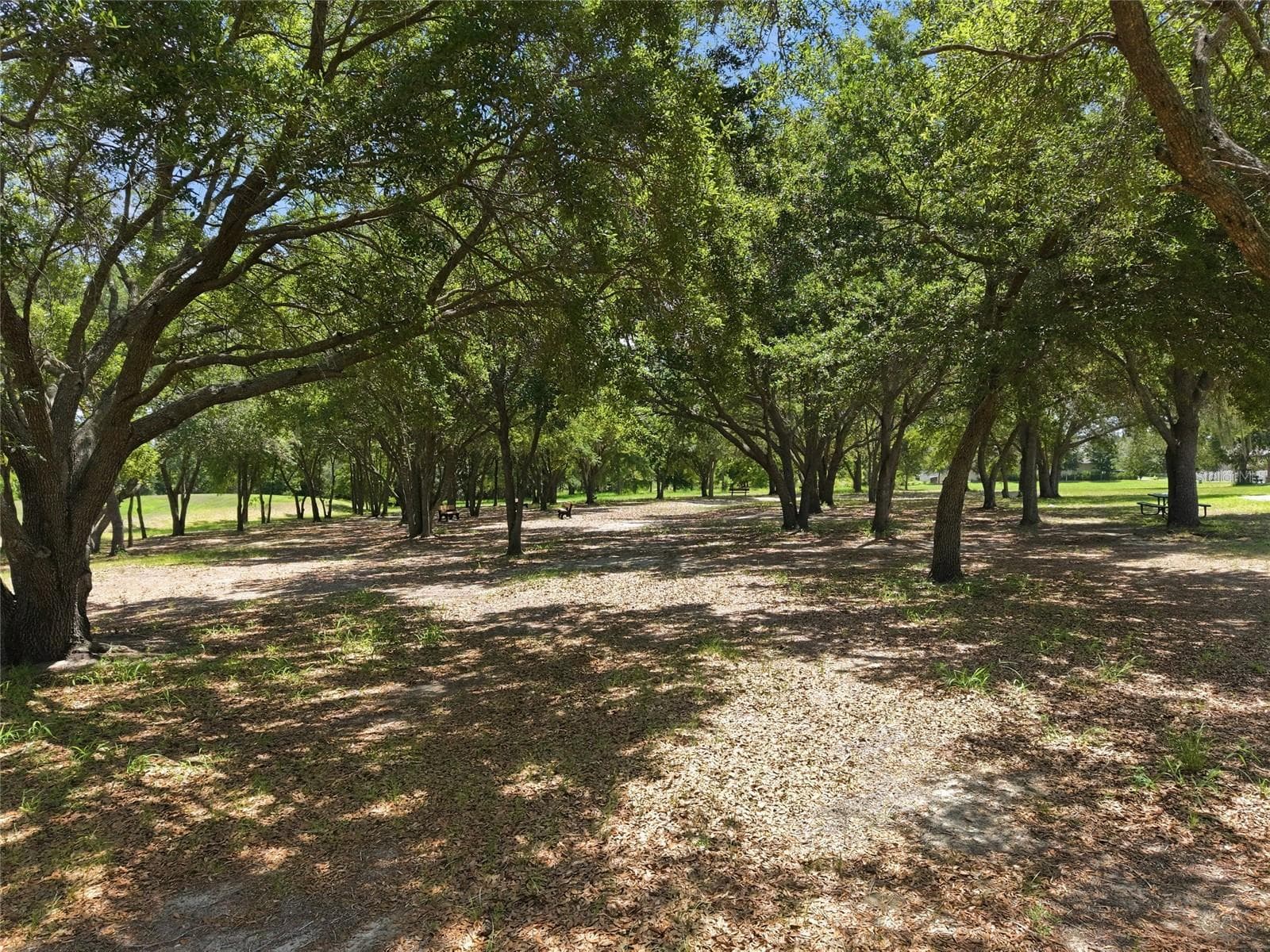 Community park - 516 CADIZ DR, GROVELAND
