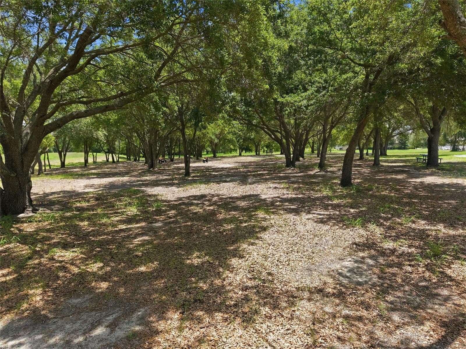 Community park - 516 CADIZ DR, GROVELAND