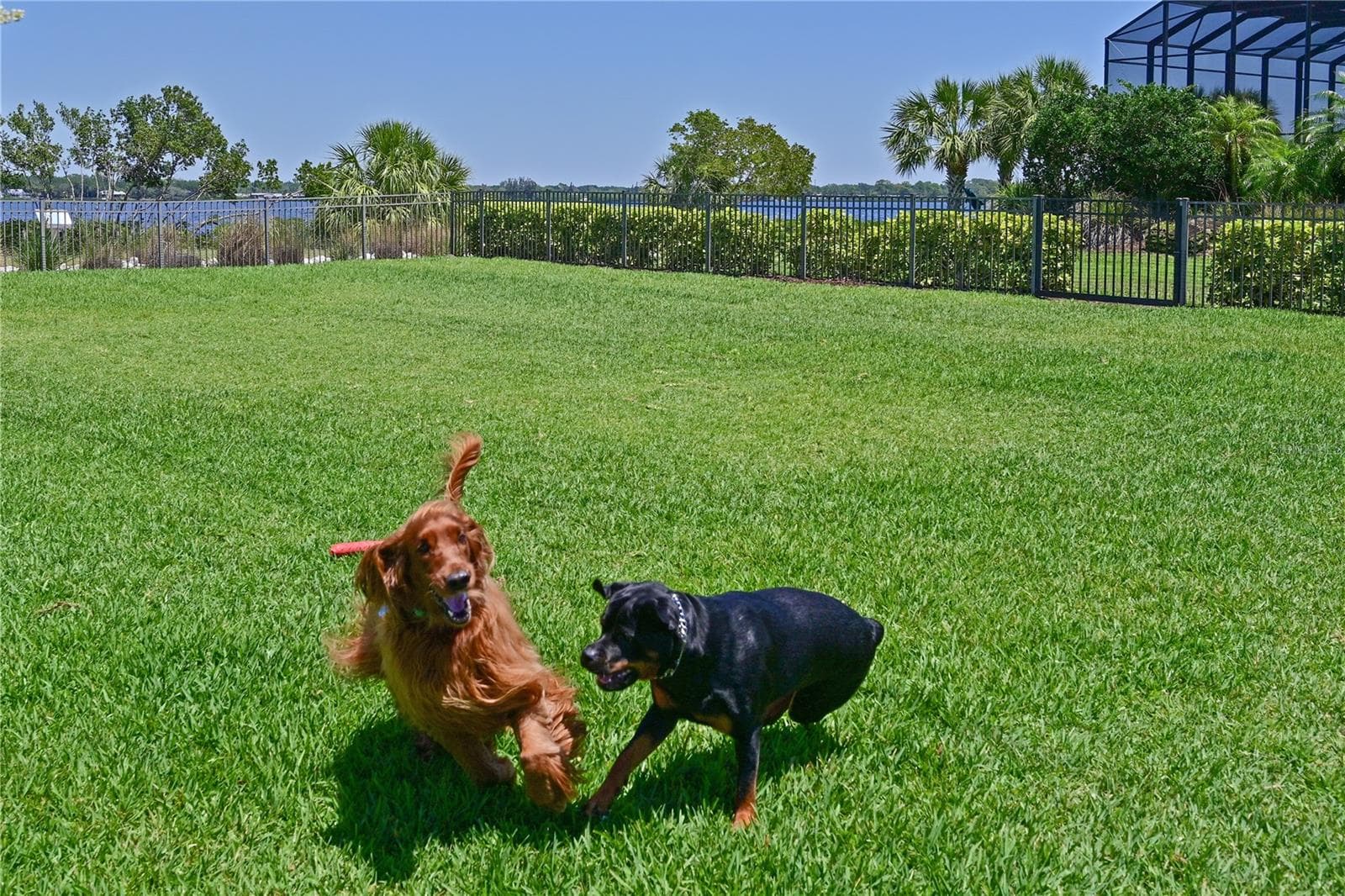 dog park and pet stations all throughout the neighborhood - 910 TIDEWATER SHORES LOOP #103, BRADENTON