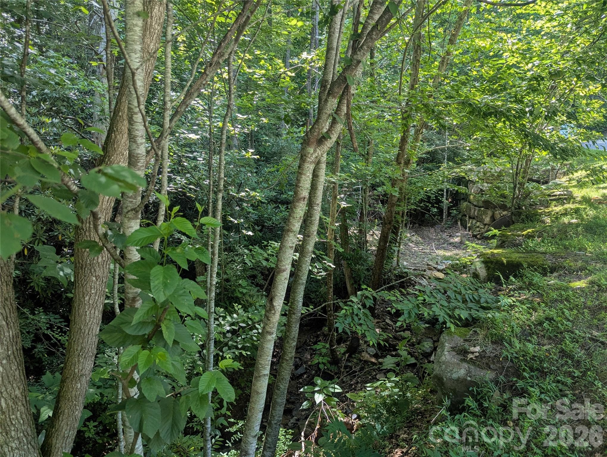 Lot at 46 Settings Boulevard, Black Mountain, photo 11 of 19