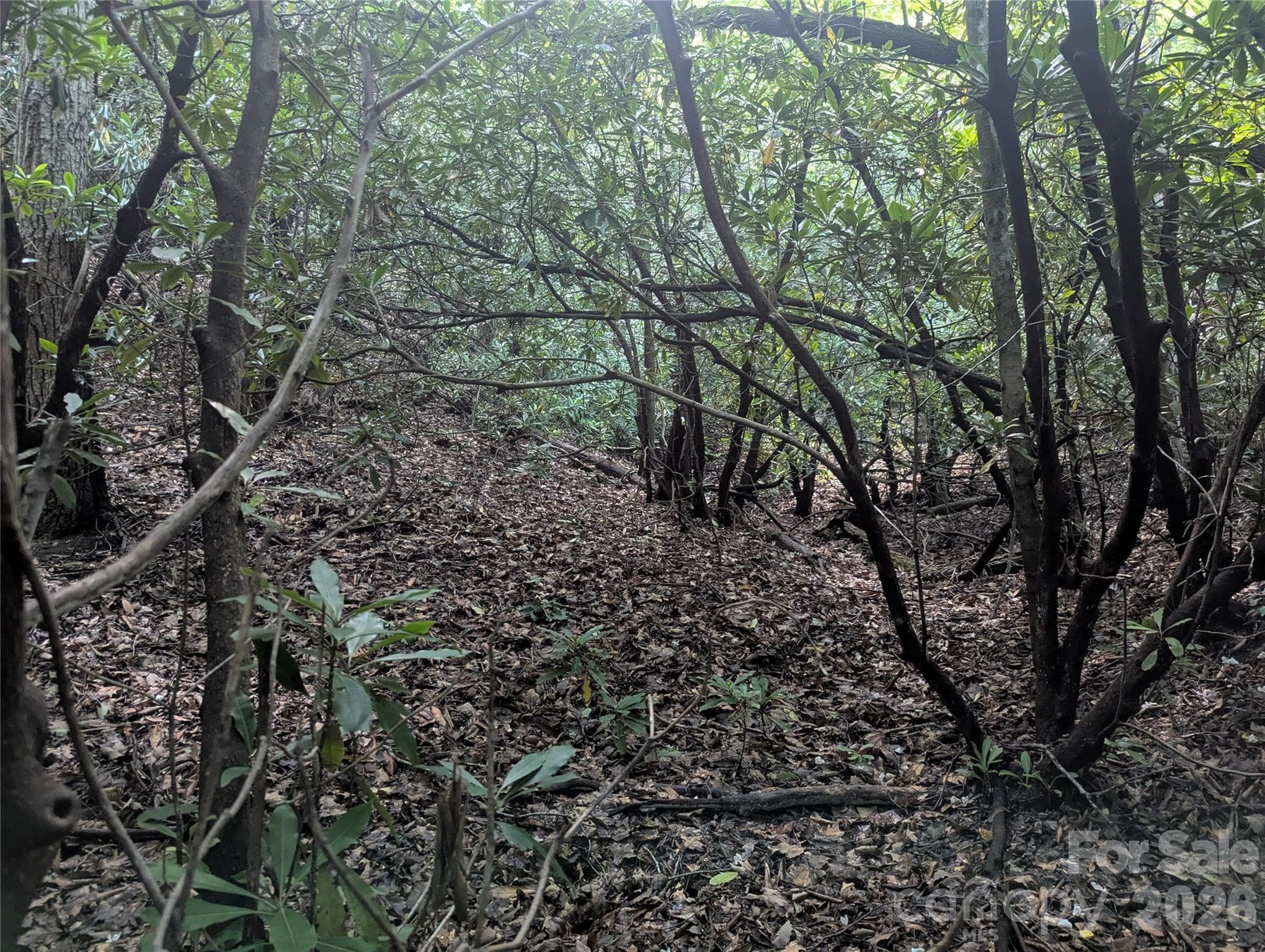 Lot at 46 Settings Boulevard, Black Mountain, photo 15 of 19
