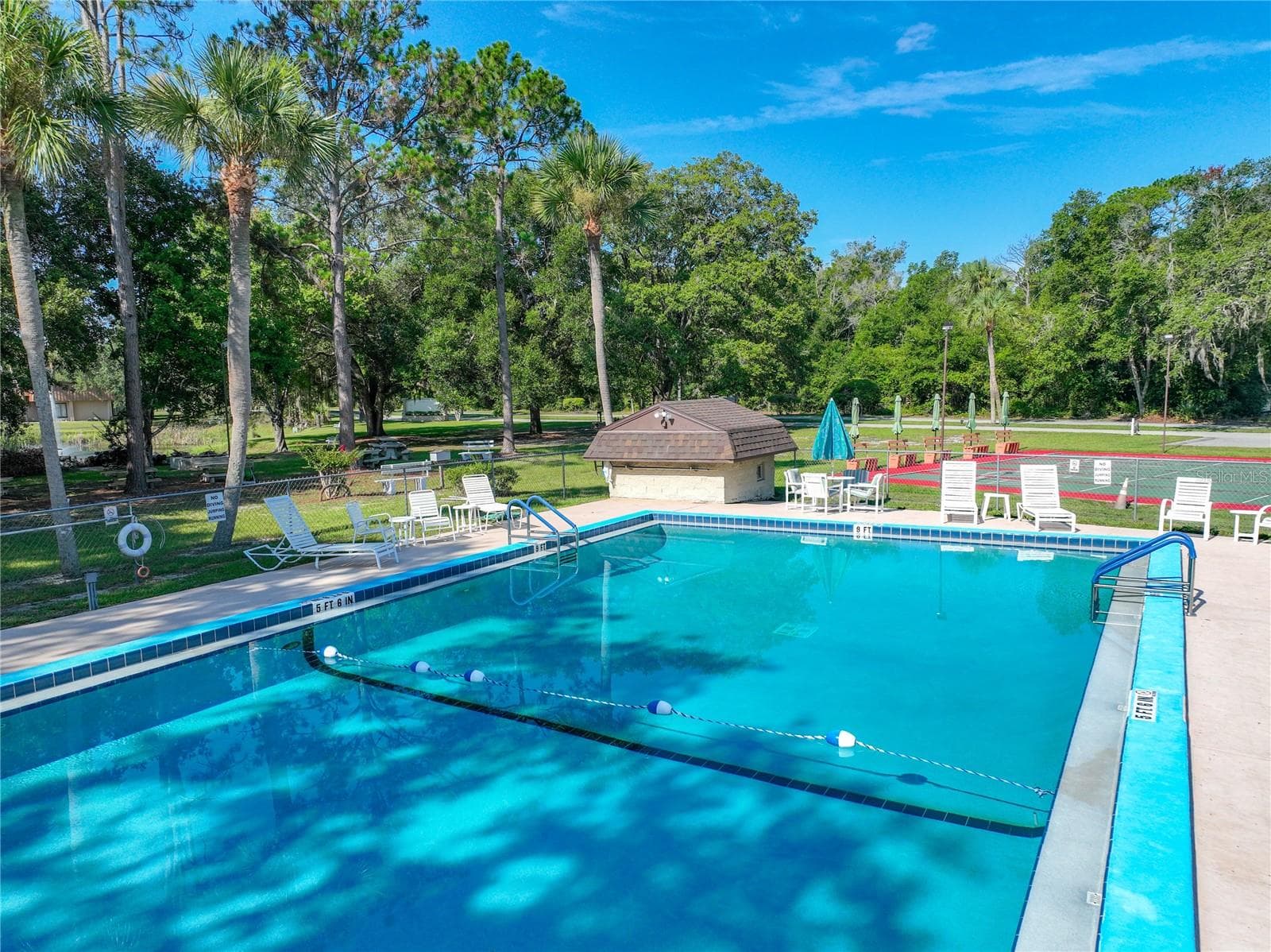 Community Amenities - 1925 BROOKSIDE DR, MOUNT DORA
