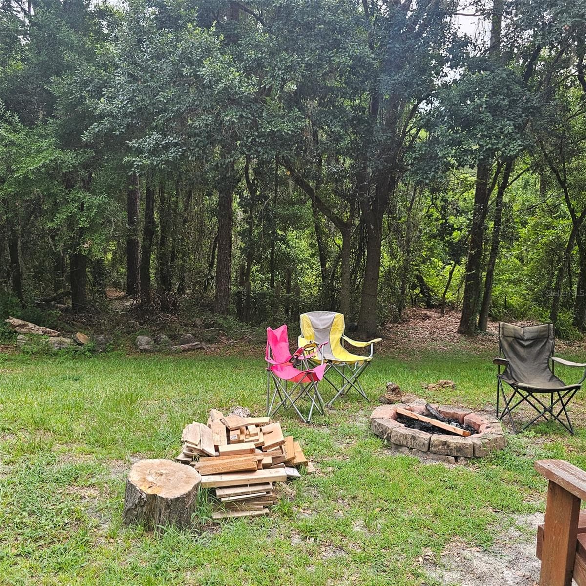 Conservation backyard for privacy - 7306 BRIDGEVIEW DR, WESLEY CHAPEL