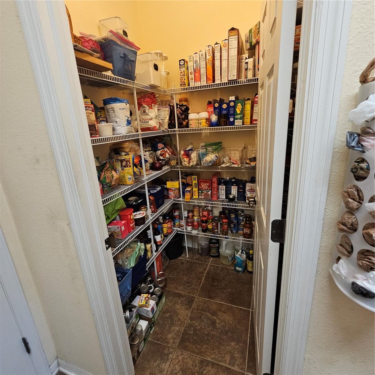 Large Pantry - 7306 BRIDGEVIEW DR, WESLEY CHAPEL