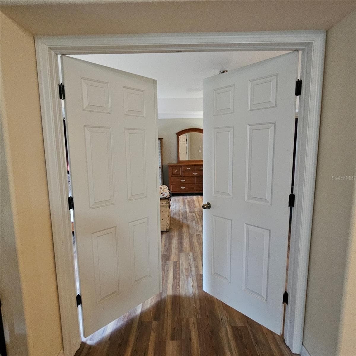 Enter the Primary Bedroom - 7306 BRIDGEVIEW DR, WESLEY CHAPEL