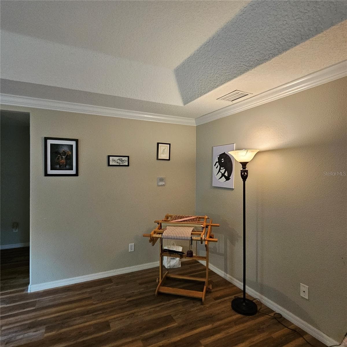 Extra space in Primary Bedroom - 7306 BRIDGEVIEW DR, WESLEY CHAPEL