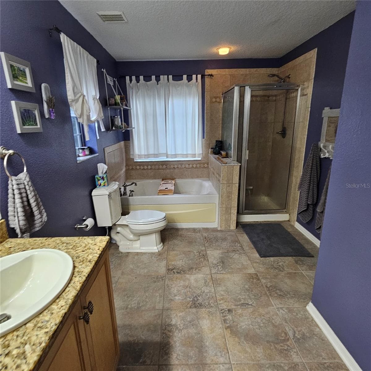 Single Family Residence at 7306 BRIDGEVIEW DR, WESLEY CHAPEL, photo 33 of 59