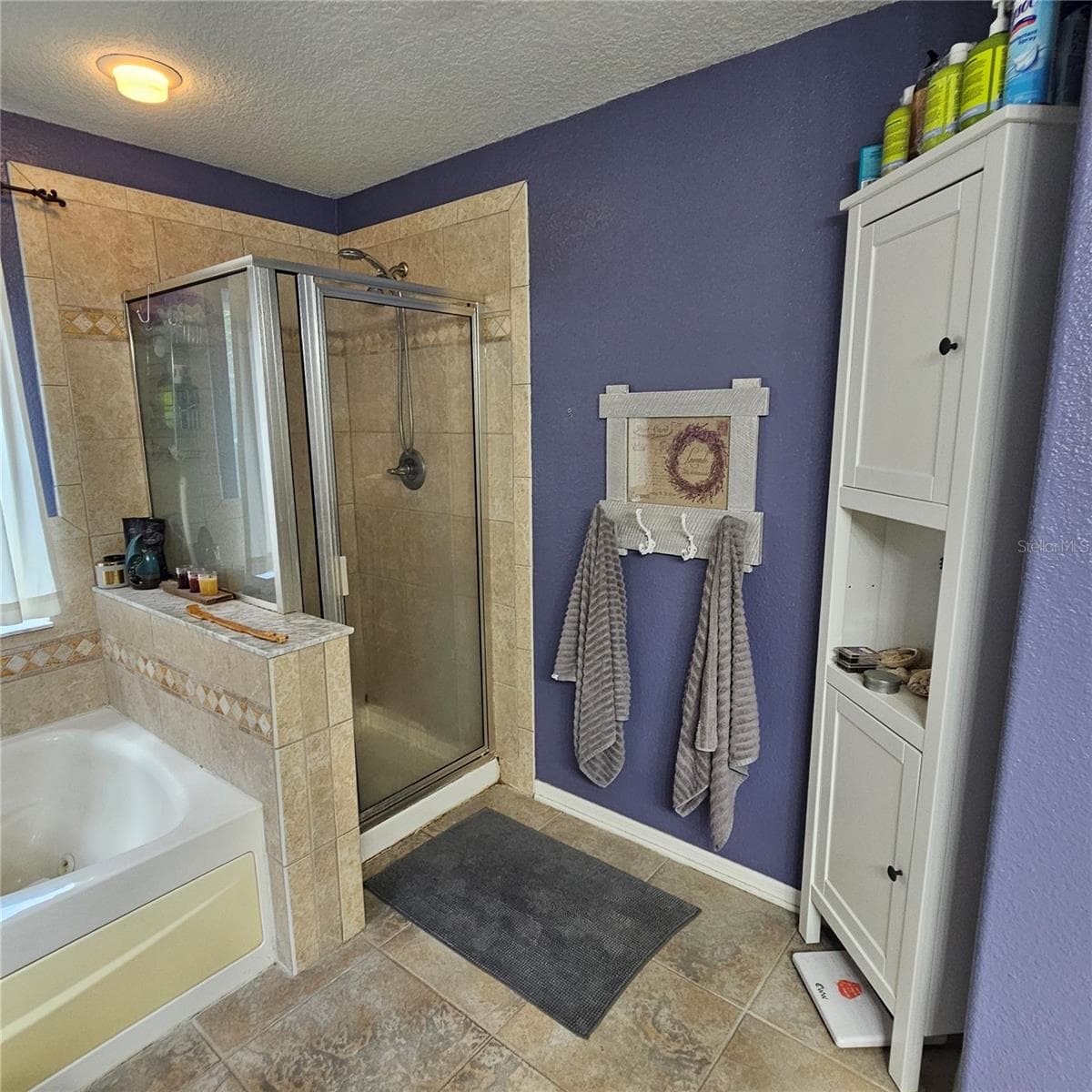 Single Family Residence at 7306 BRIDGEVIEW DR, WESLEY CHAPEL, photo 34 of 59