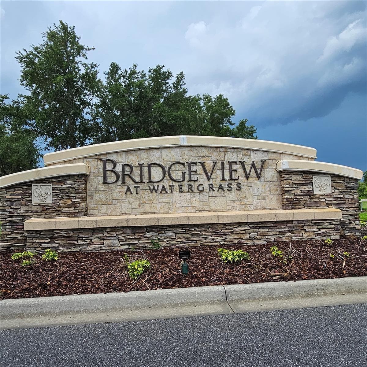 Single Family Residence at 7306 BRIDGEVIEW DR, WESLEY CHAPEL, photo 53 of 59