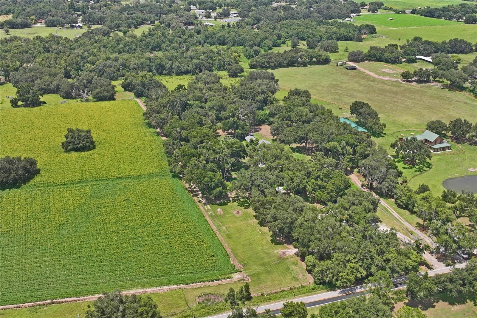 Single Family Residence at 6202 STAFFORD RD, PLANT CITY, photo 53 of 58