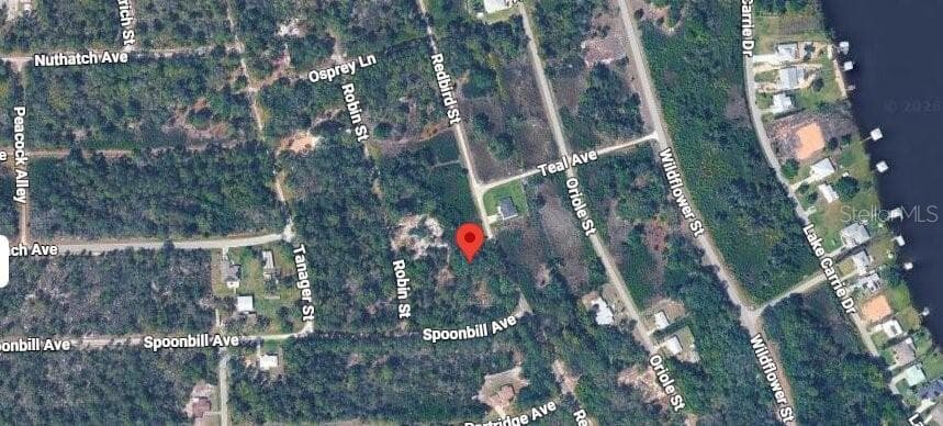 Land at 1030 REDBIRD ST, LAKE PLACID, photo 6 of 12