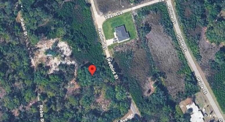 Land at 1030 REDBIRD ST, LAKE PLACID, photo 7 of 12