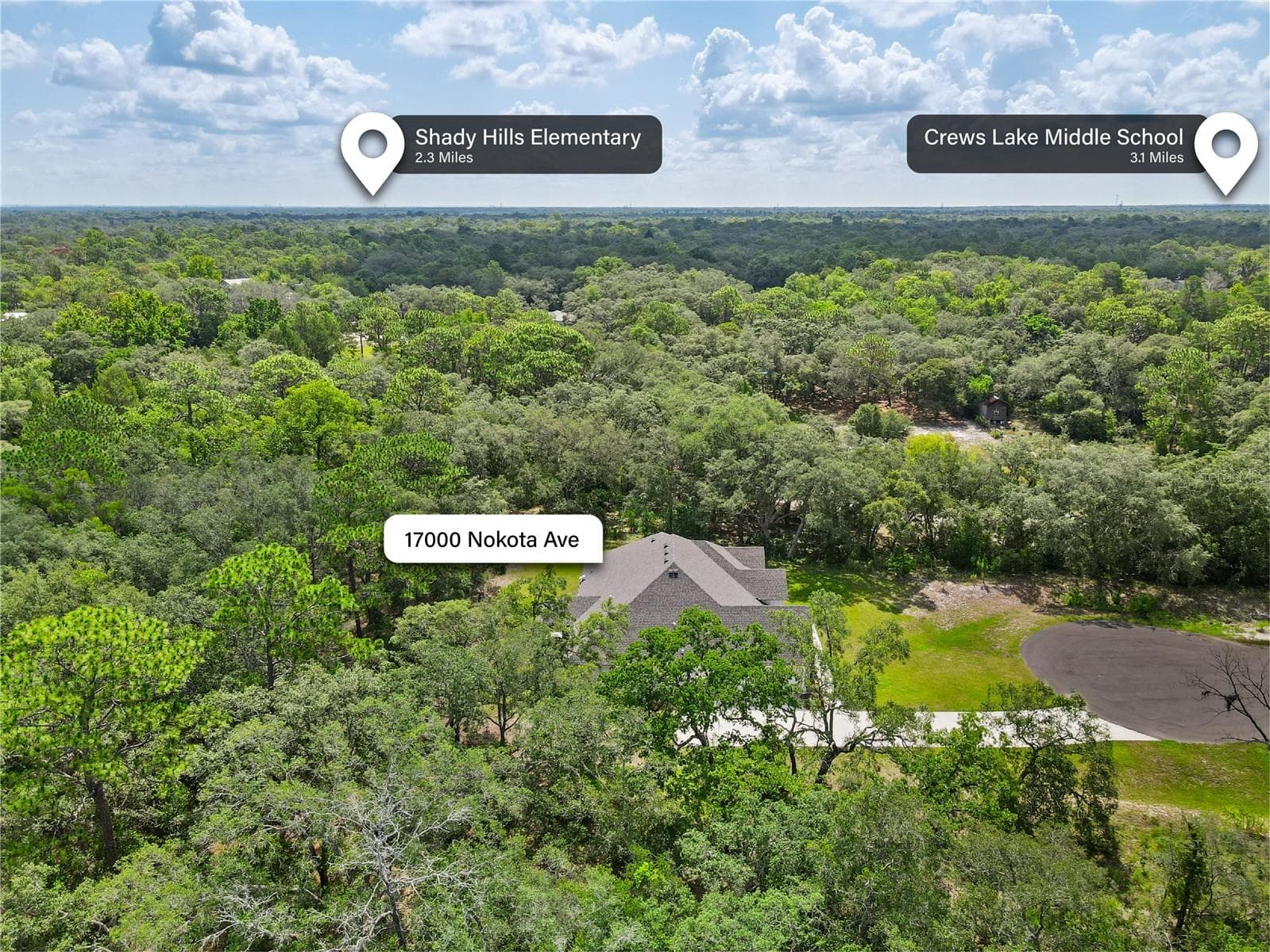 Aerial View of Property - 17000 NOKOTA AVE, HUDSON