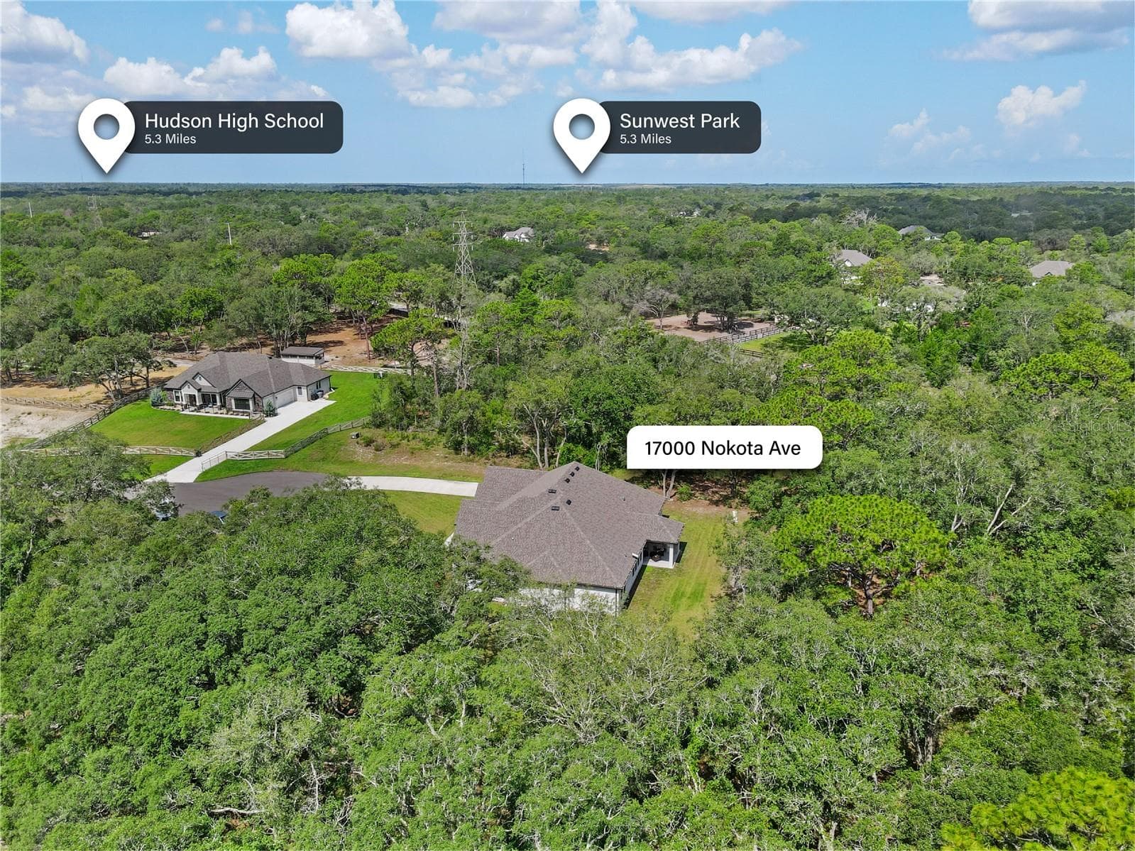 Aerial View of Property - 17000 NOKOTA AVE, HUDSON