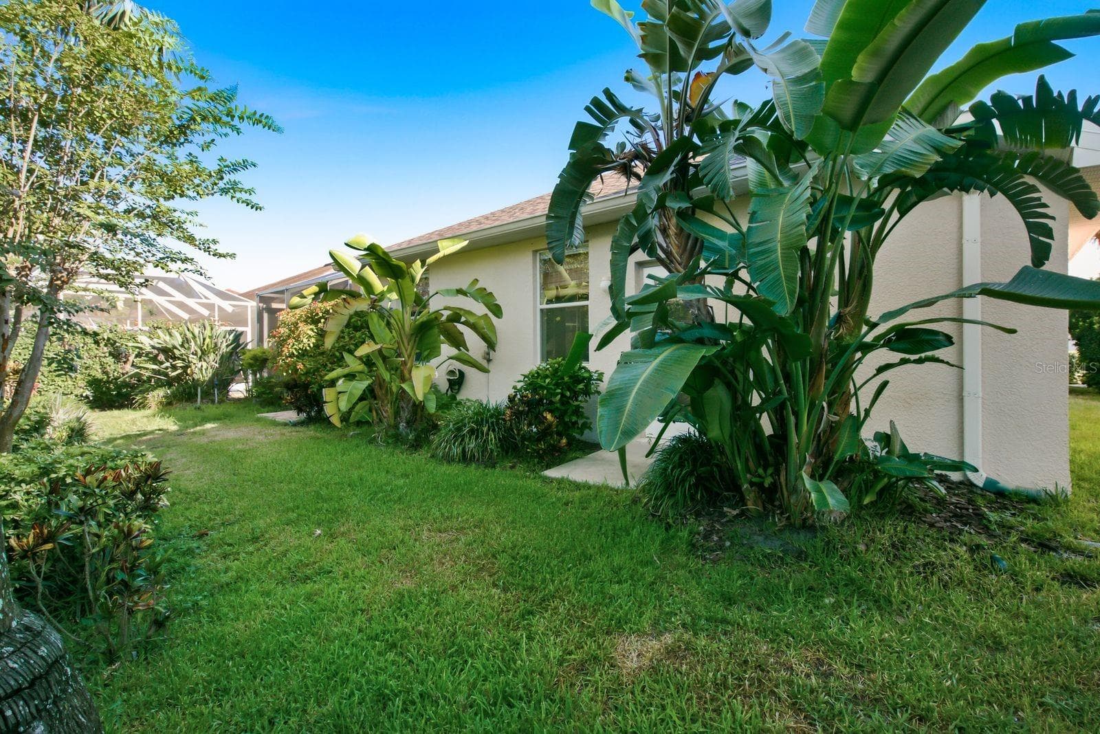Lush landscaping - 4882 W BREEZE CIR, PALM HARBOR