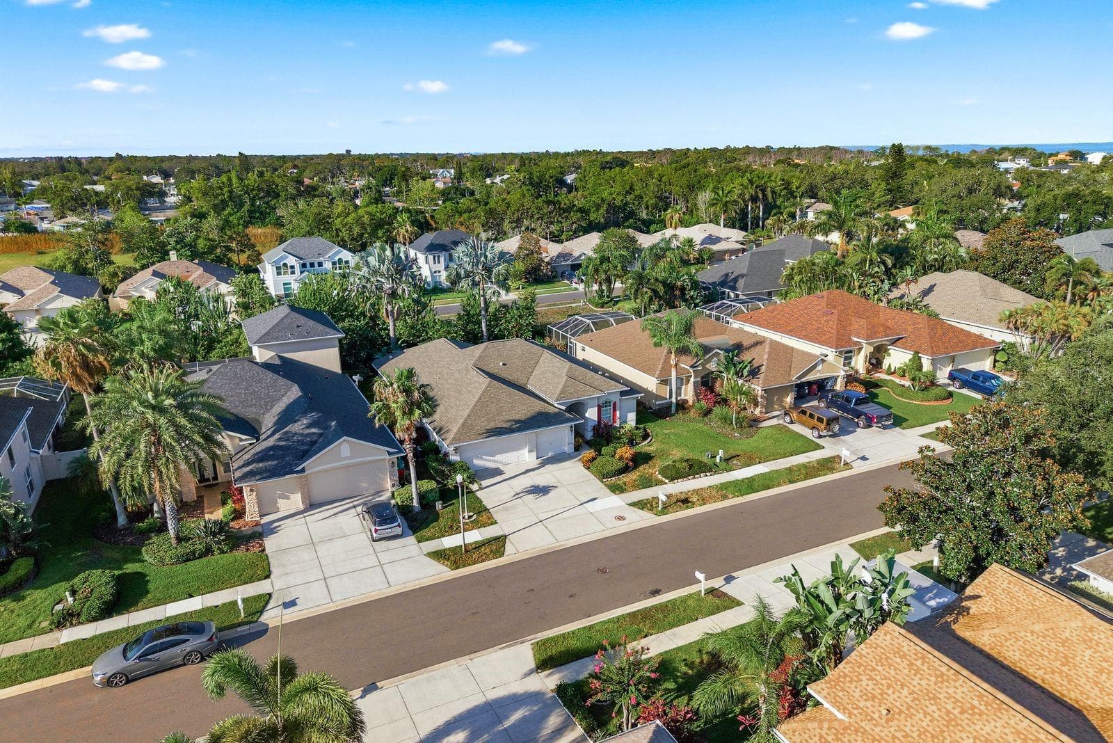 aerial - 4882 W BREEZE CIR, PALM HARBOR