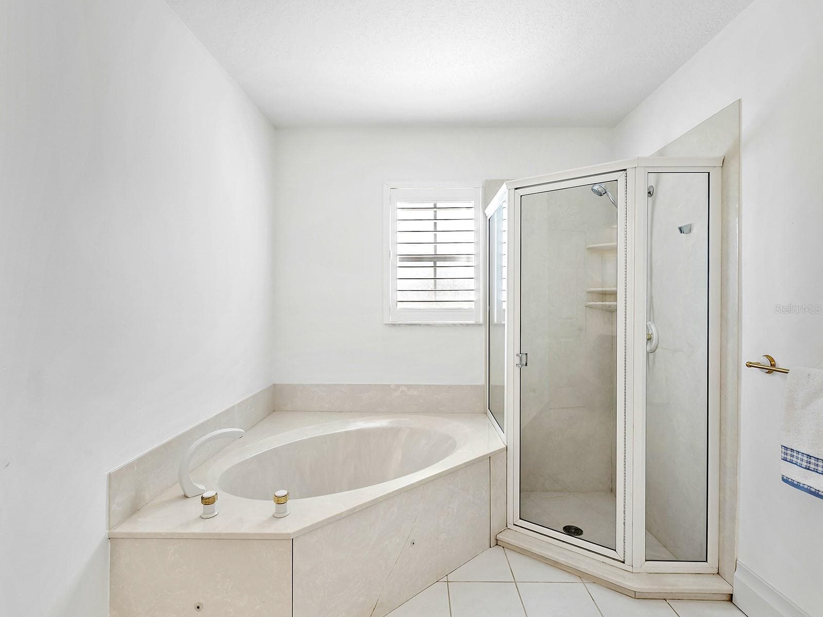 Bathroom private jacuzzi tub and separate shower - 396 BAYSHORE DR, VENICE