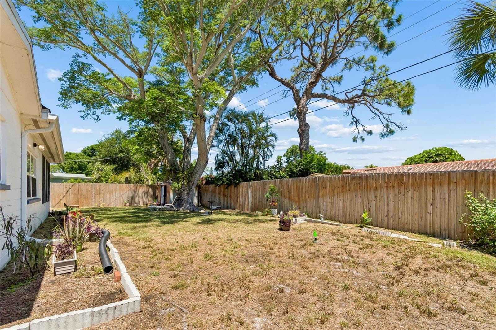 Backyard - 2085 68TH AVE S, ST PETERSBURG