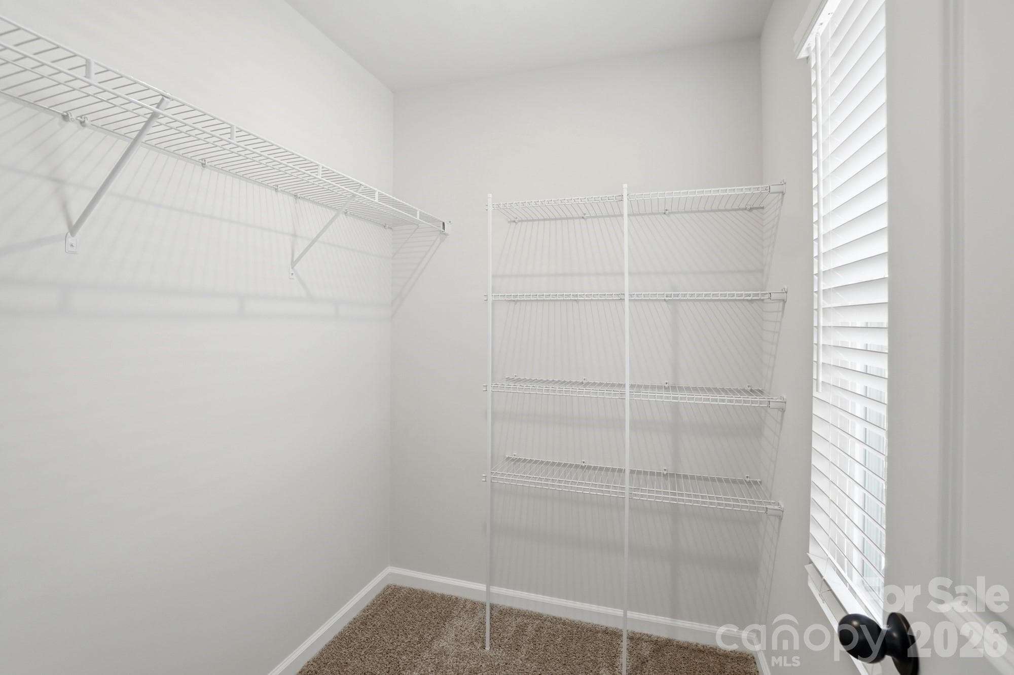 Townhouse at 5204 Wyes Oak Lane, Charlotte, photo 33 of 43