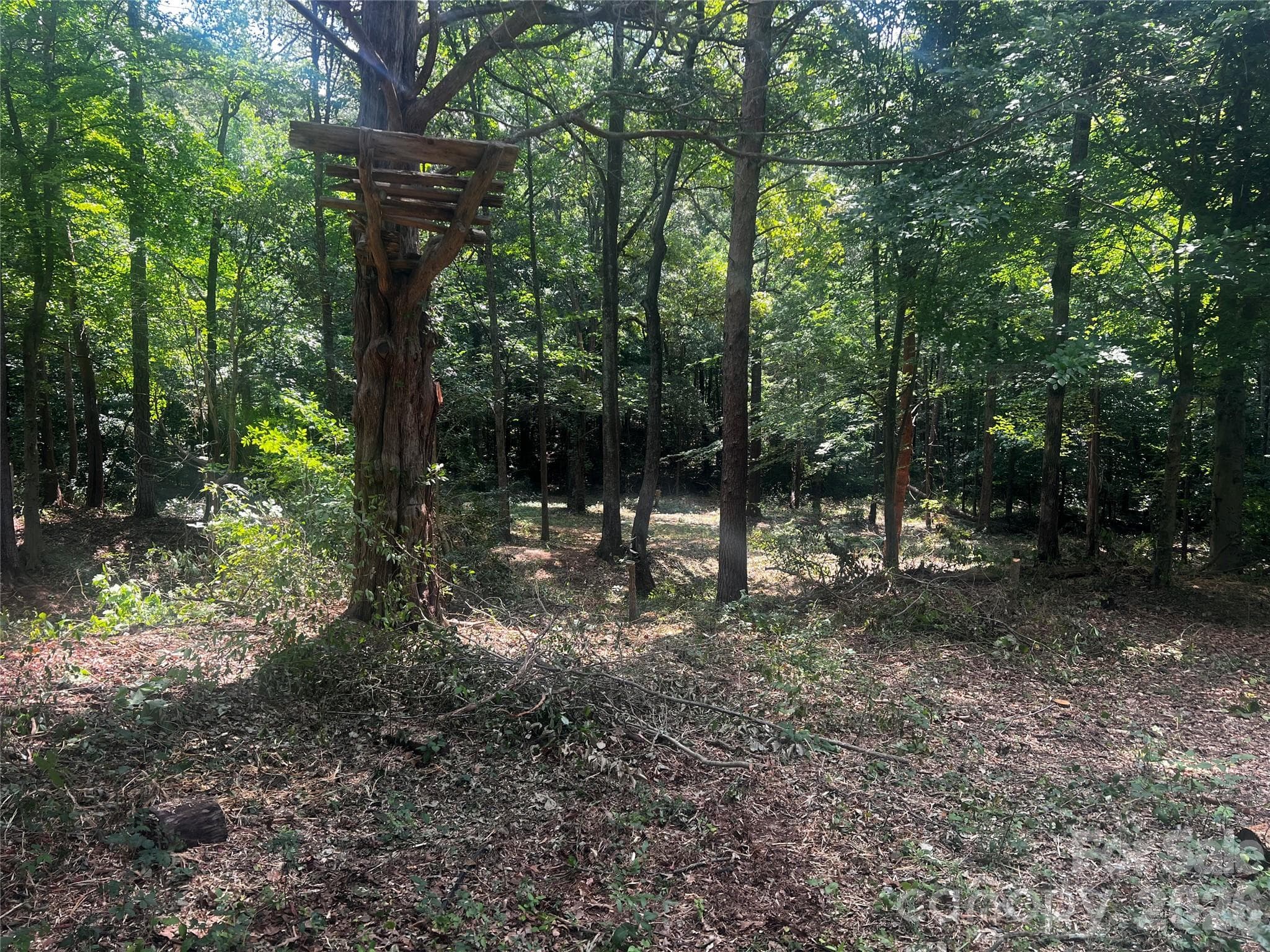 Lot at 10376 Turnplow Drive, Davidson, photo 3 of 13